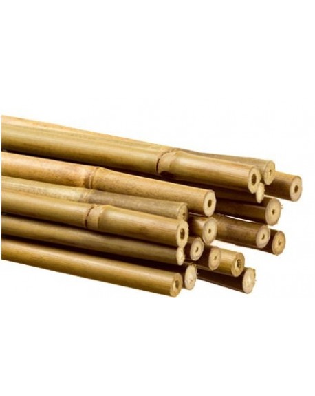 Tutor de bambú 1,05m  14-16mm