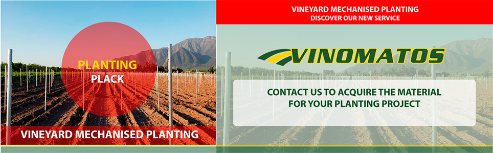 vinomatos