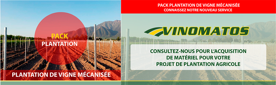 Pack de Plantation