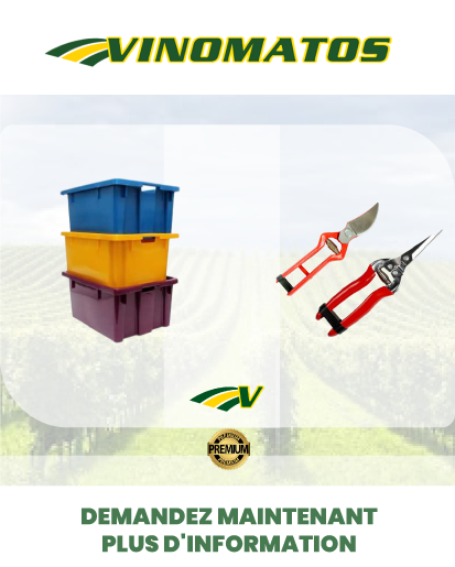 artigo-pagina-website.png