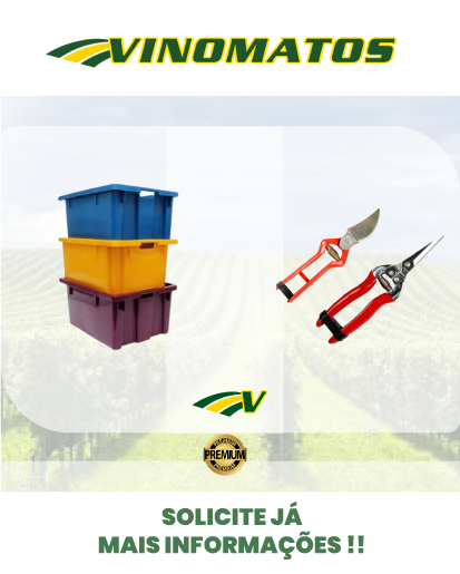 imagem_web_pt.png