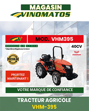 artigo-pagina-website.png
