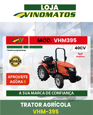 artigo-pagina-website.png