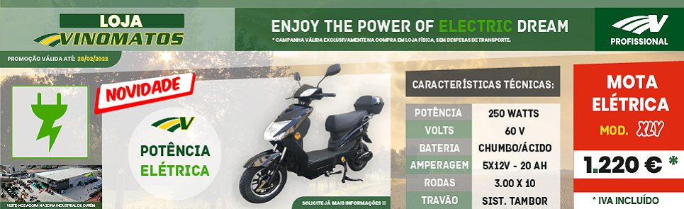 header-website-pt.png