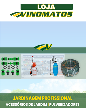 artigo-pagina-website.png