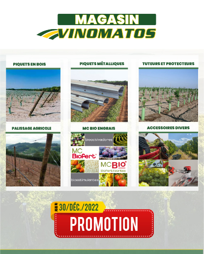 artigo-pagina-website.png