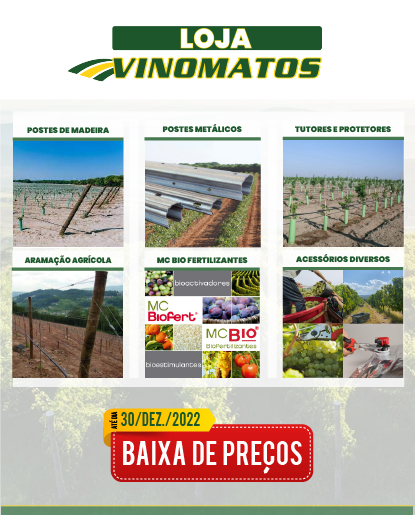 artigo-pagina-website.png