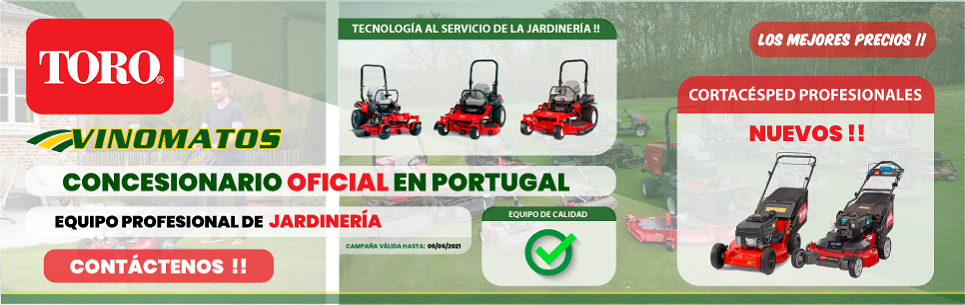 3 - Header Publicidade-Principal-Campanha.jpg