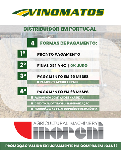 artigo-pagina-website.png
