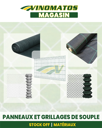 artigo-pagina-website.png