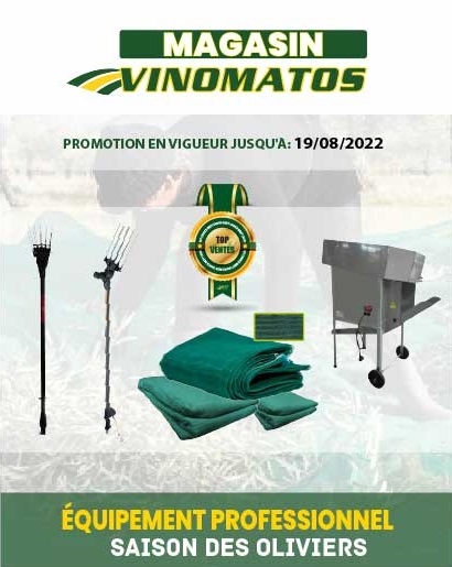 artigo-pagina-website.png