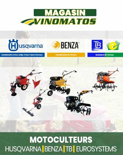artigo-pagina-website.png