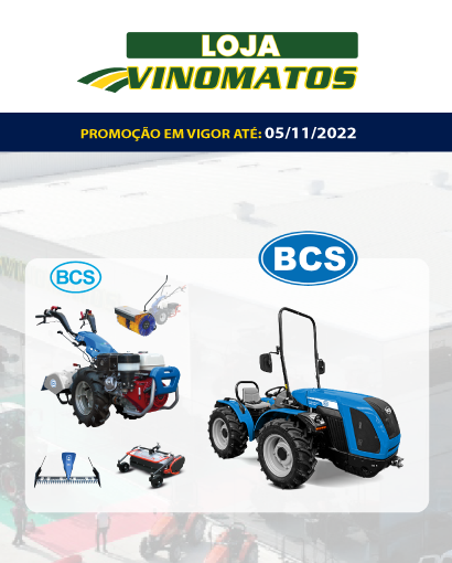 artigo-pagina-website.png
